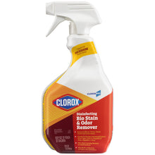 CLOROX DISINFECTING PRODUCTS, 9 per case