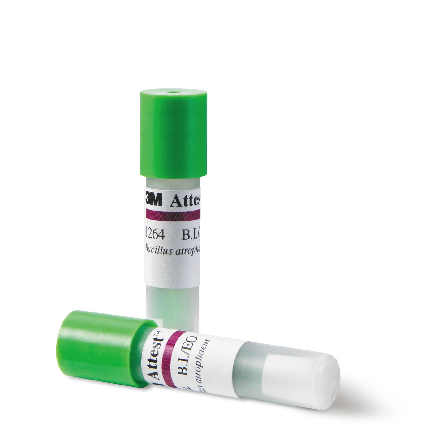 SOLVENTUM ATTEST BIOLOGICAL INDICATORS & TEST PACKS, 100 per box, 4 boxes per case