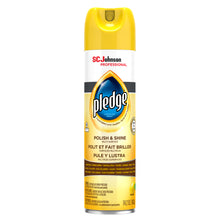 SC JOHNSON PLEDGE, 6 per case