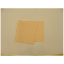 TIDI ALL TISSUE PATIENT DRAPE SHEET