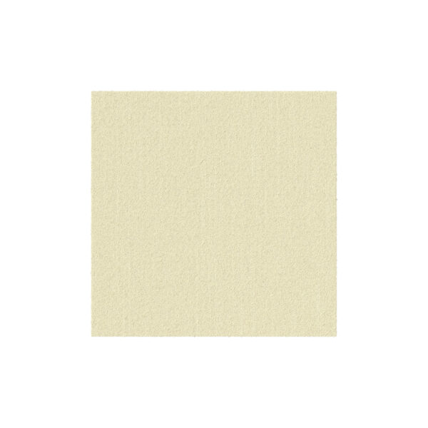 MOLNLYCKE EXUFIBER® AG+ GELLING FIBER DRESSINGS